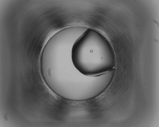 X0000090951056200708301135
