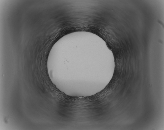 X0000090951057200708301134