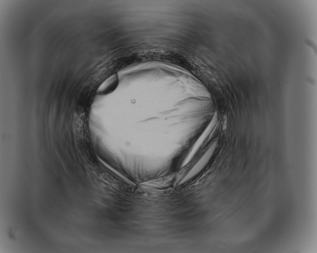 X0000090951059200708301134