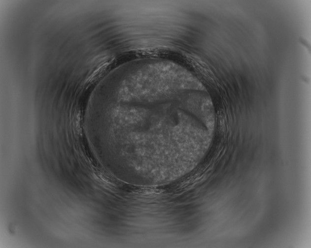 X0000090951060200708301134