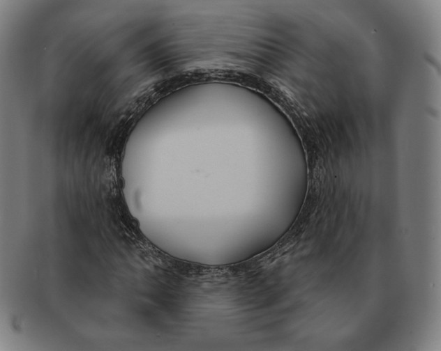 X0000090951062200708301134