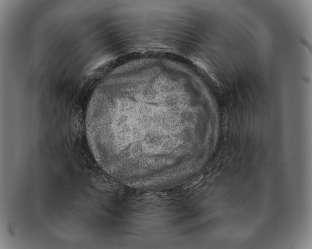 X0000090951063200708301134