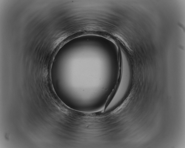 X0000090951065200708301134