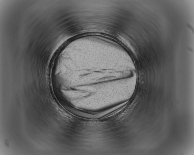 X0000090951068200708301134