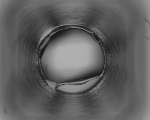 X0000090951069200708301134