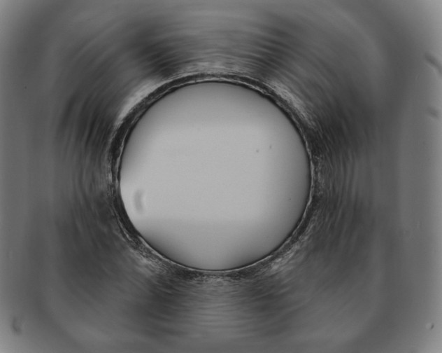 X0000090951070200708301134