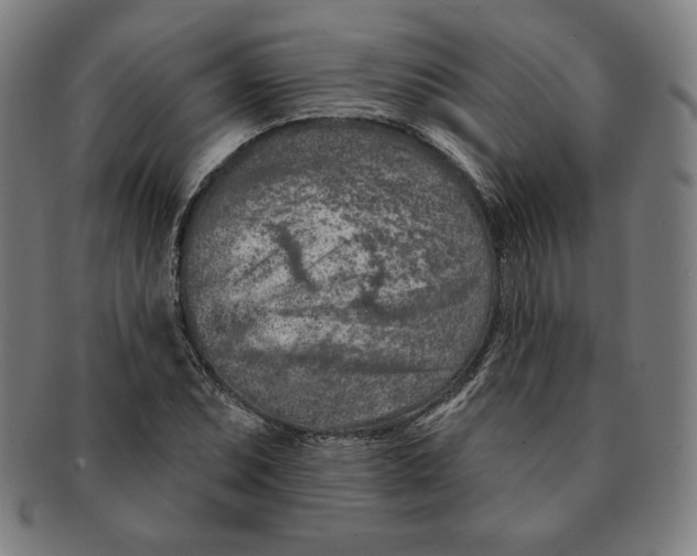 X0000090951071200708301134