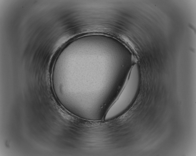 X0000090951072200708301134