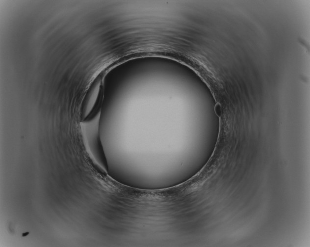 X0000090951073200708301134