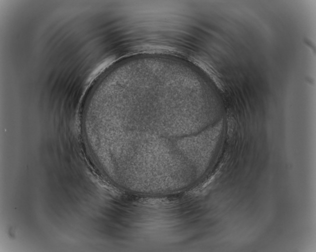 X0000090951074200708301134
