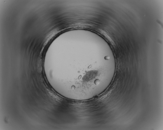X0000090951075200708301134