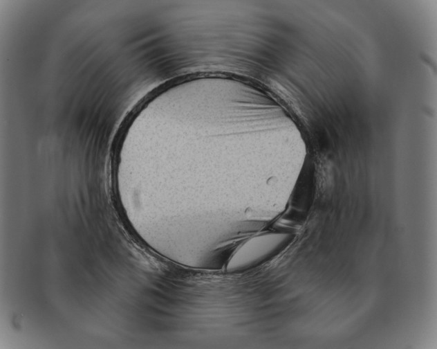 X0000090951076200708301134
