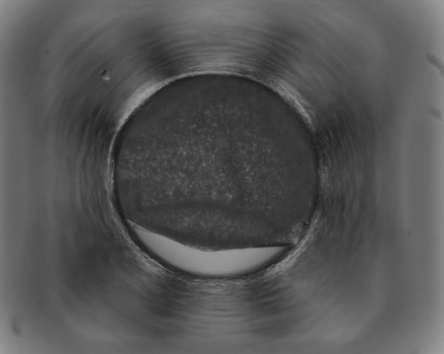 X0000090951077200708301134