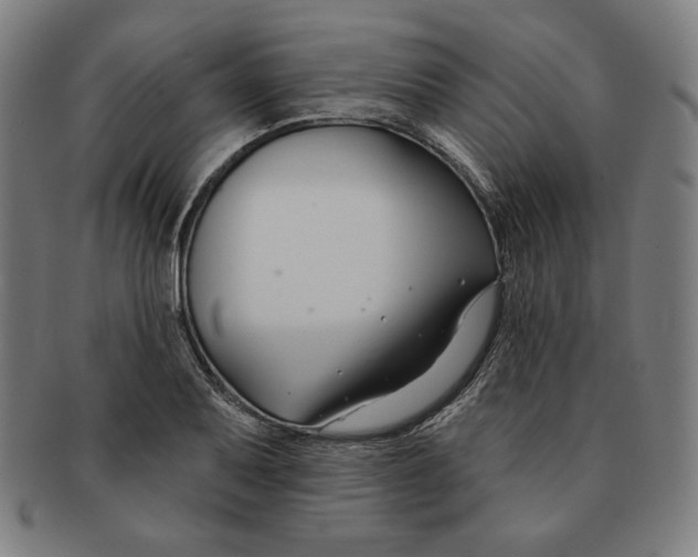 X0000090951079200708301134