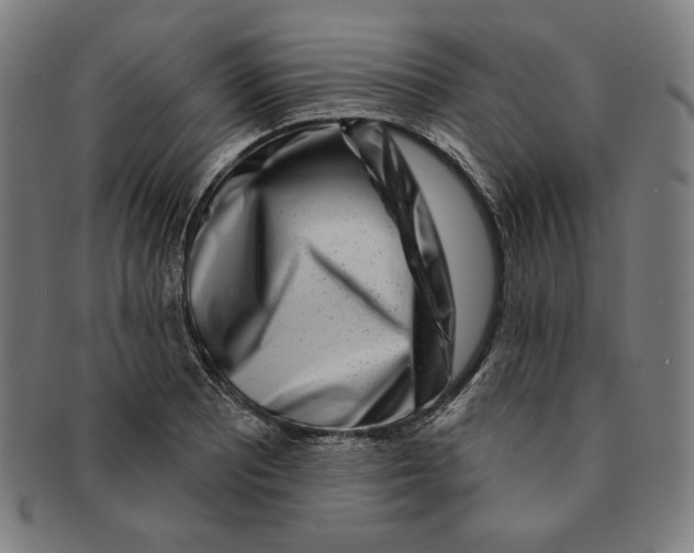 X0000090951081200708301134
