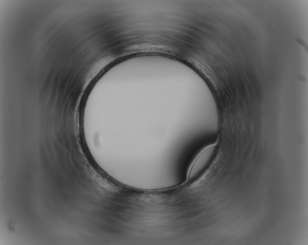 X0000090951082200708301134