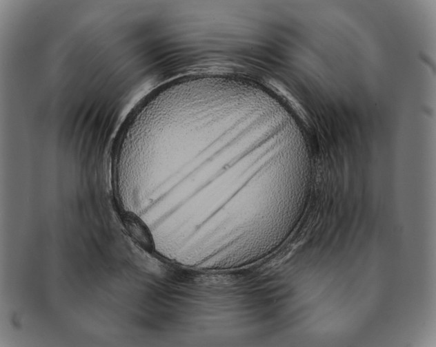 X0000090951083200708301134