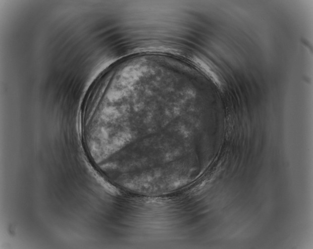 X0000090951084200708301134