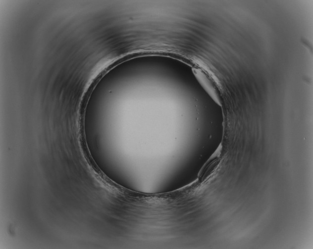 X0000090951085200708301134