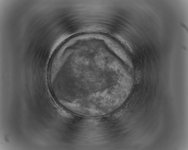 X0000090951086200708301134