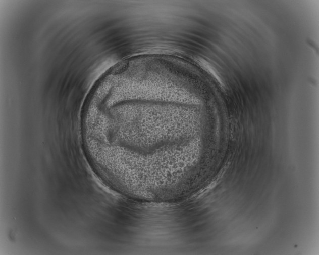 X0000090951087200708301134