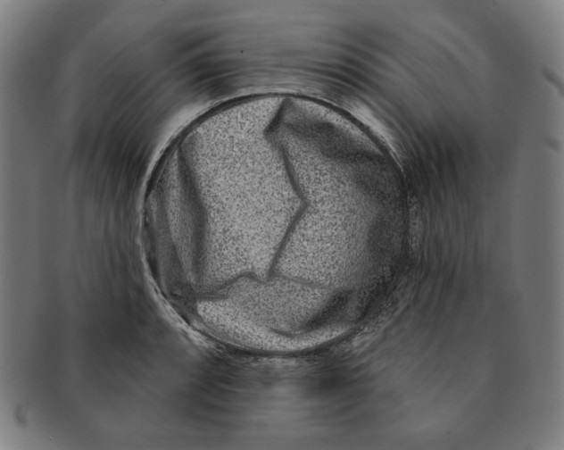 X0000090951088200708301134