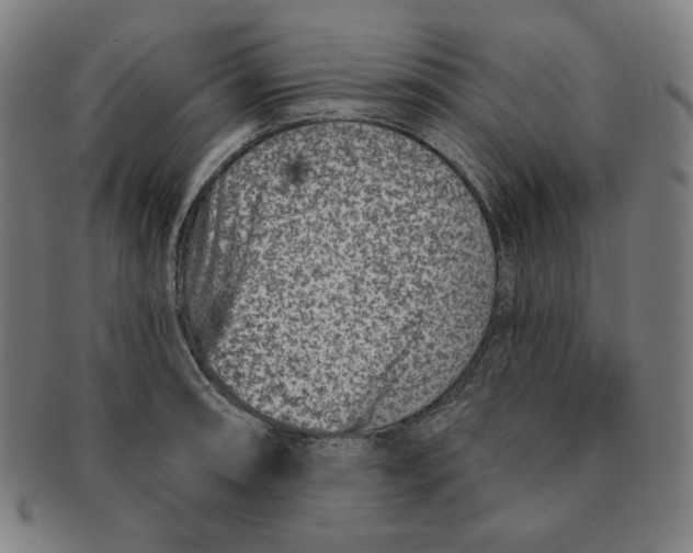 X0000090951090200708301134