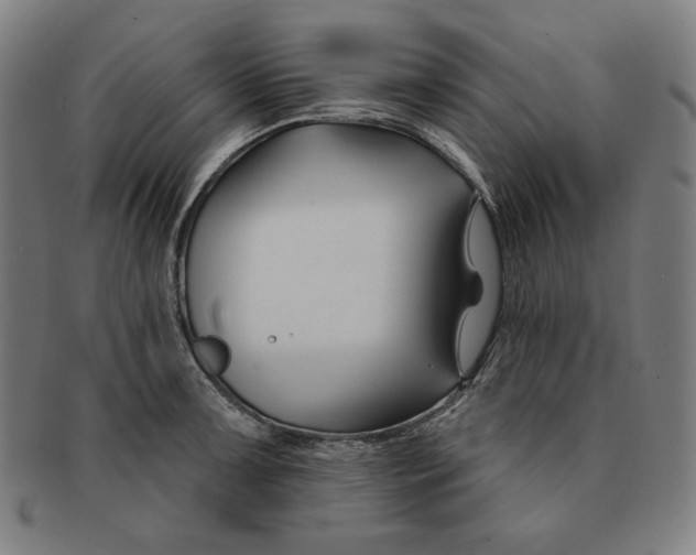 X0000090951091200708301134