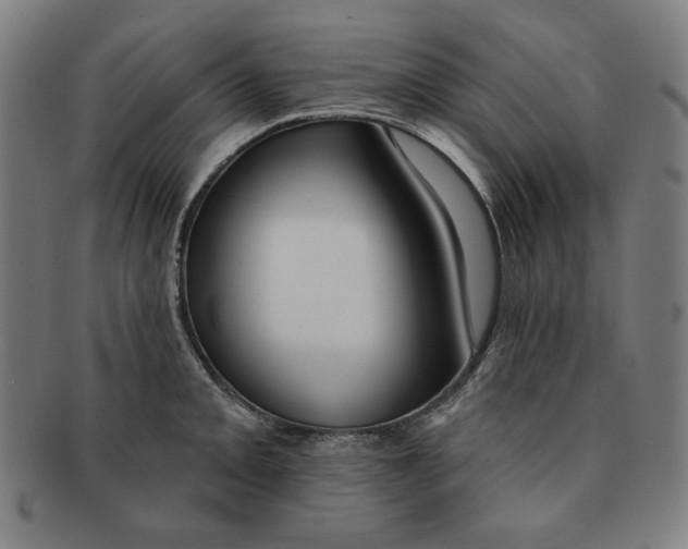 X0000090951093200708301134