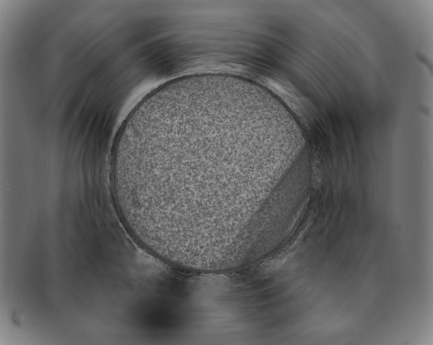 X0000090951094200708301134