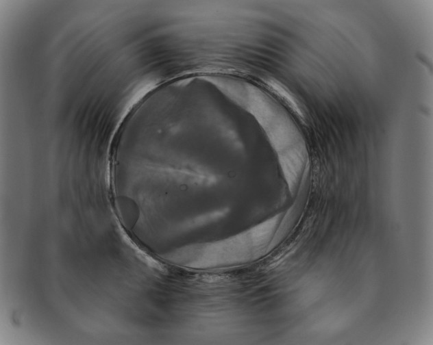 X0000090951095200708301134