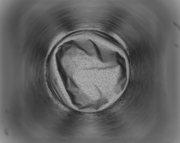 X0000090951096200708301134