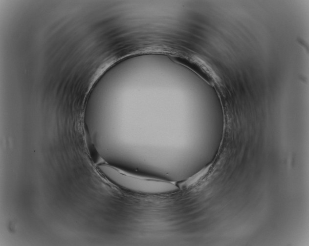 X0000090951097200708301134