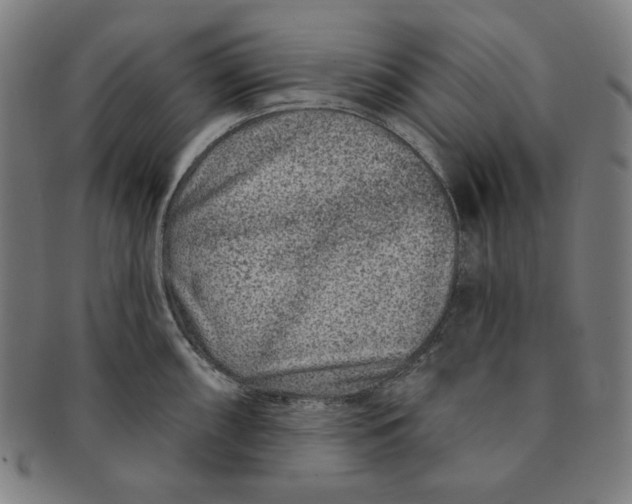 X0000090951098200708301134