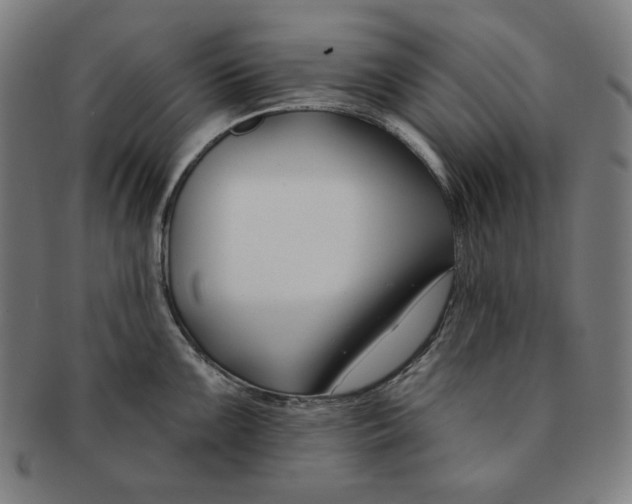 X0000090951099200708301134