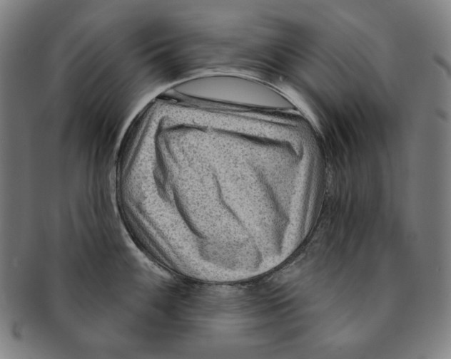 X0000090951100200708301134