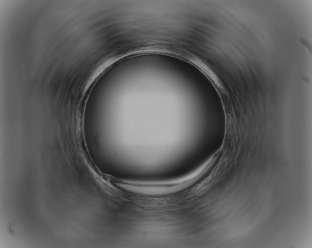 X0000090951101200708301134