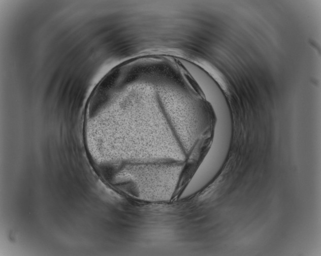 X0000090951102200708301134