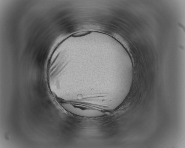 X0000090951104200708301134