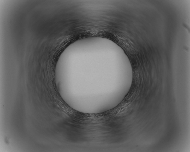 X0000090951105200708301133