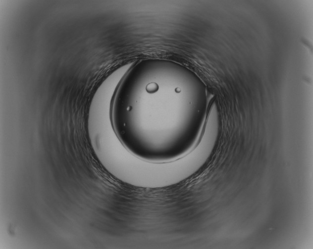 X0000090951106200708301133