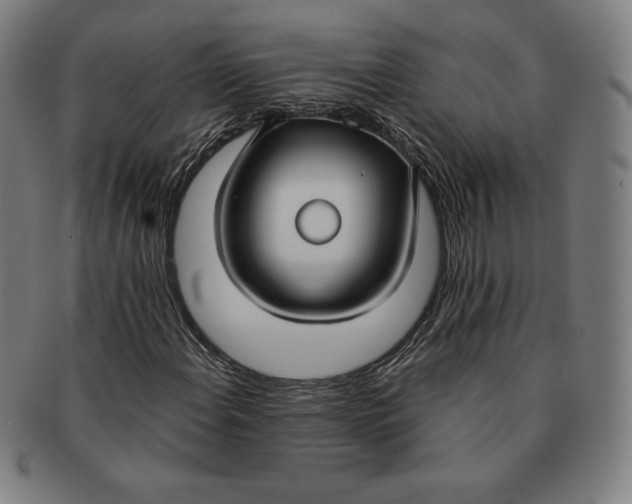 X0000090951108200708301133