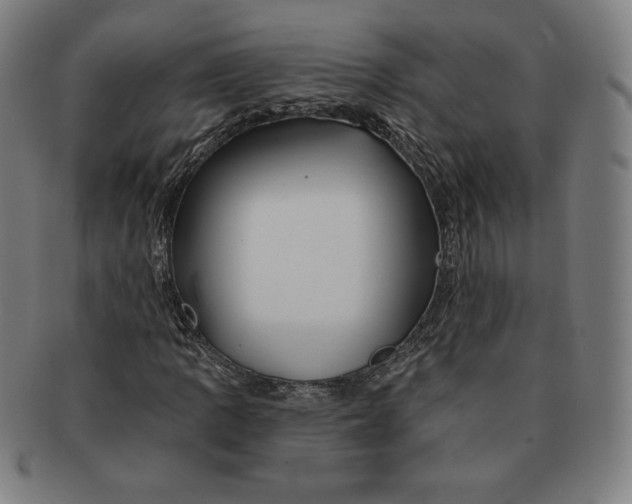X0000090951109200708301133