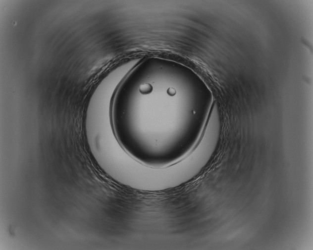 X0000090951110200708301133