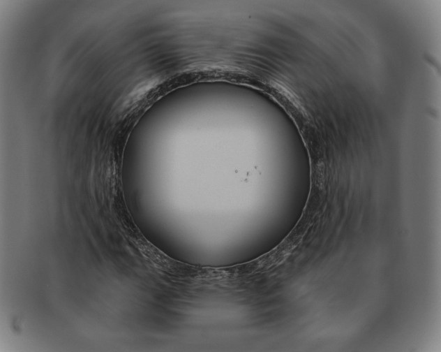 X0000090951111200708301133