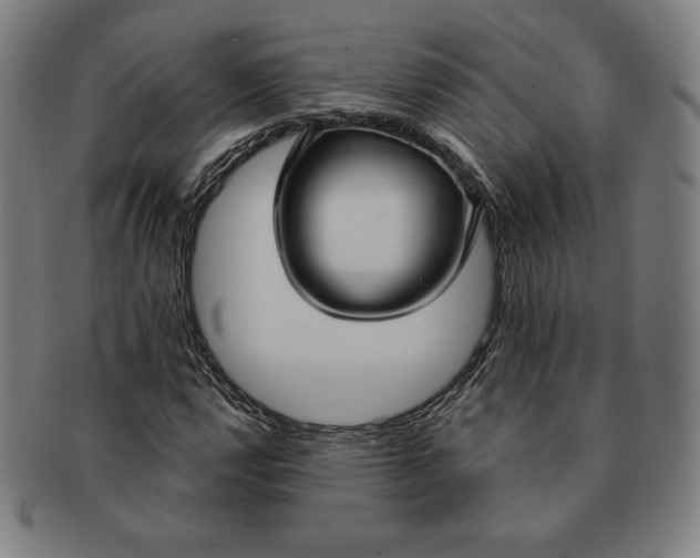 X0000090951112200708301133