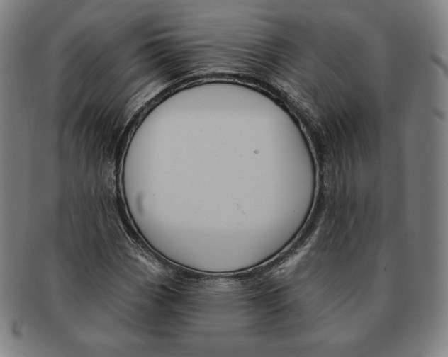 X0000090951113200708301133