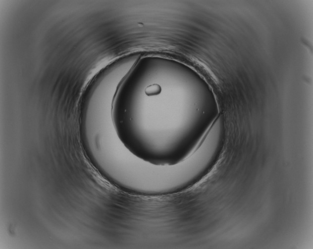 X0000090951114200708301133