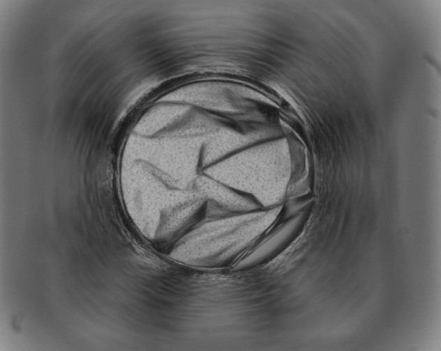 X0000090951115200708301133