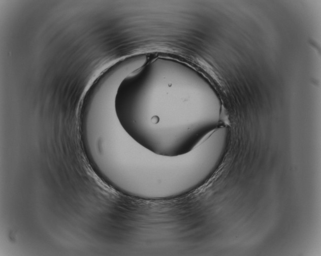 X0000090951116200708301133